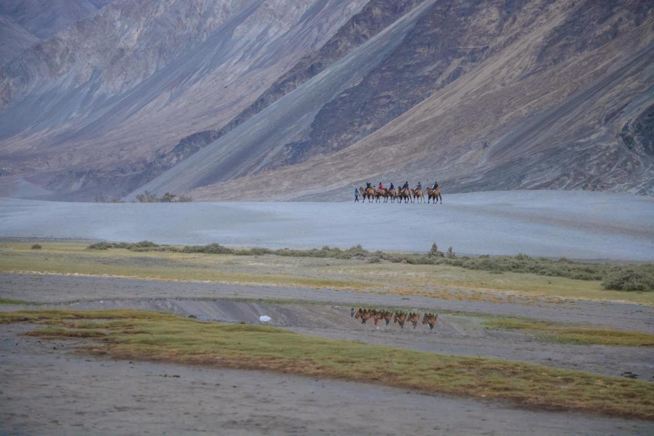 Chamba Camp Diskit Nubra Exterior photo